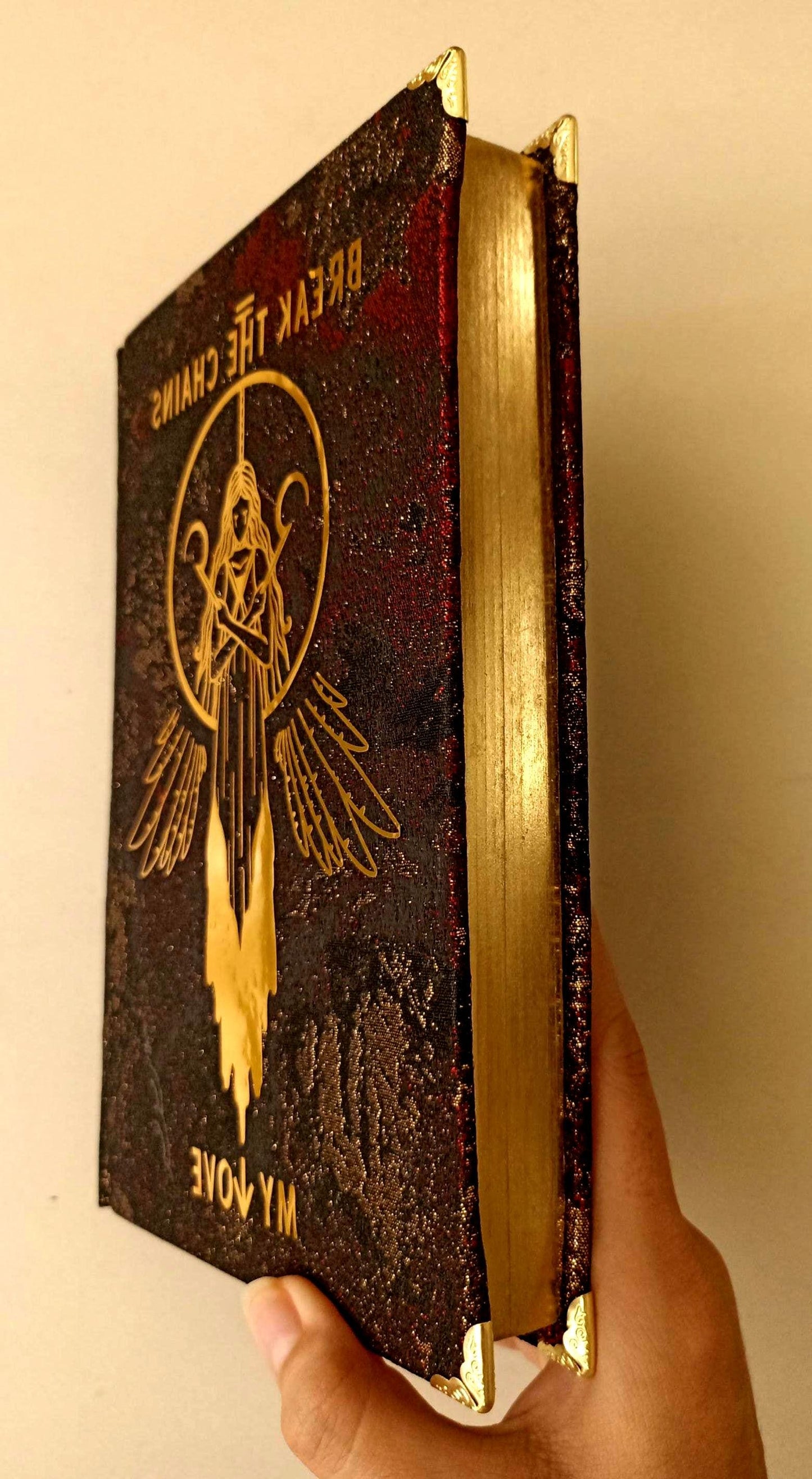 Red Rising Rebound Book